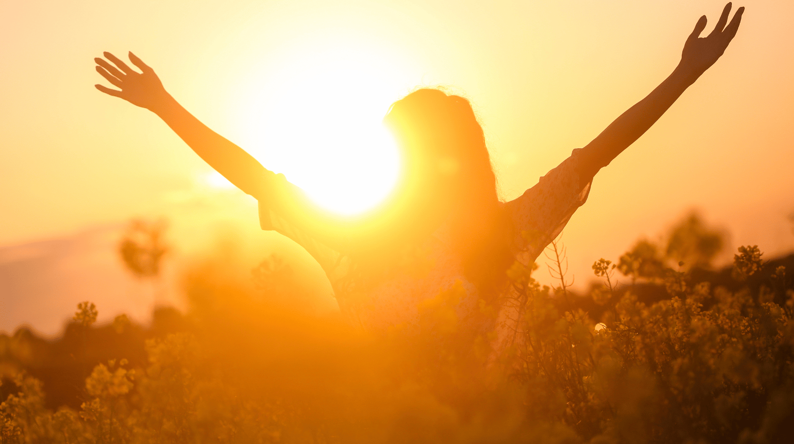 Da li novac zaista kupuje sreću? Najnovije istraživanje otkriva neočekivan odgovor
